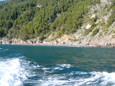 Punta Corvo