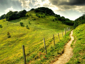 parchi naturali in Liguria: Parco Naturale dell'Antola