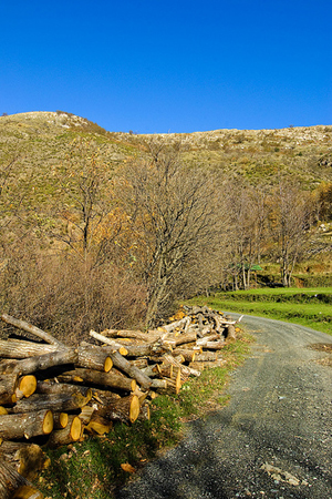 Parco Naturale dell'Aveto