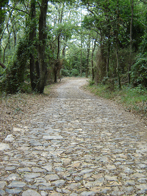 Parco Naturale di Montemarcello Magra